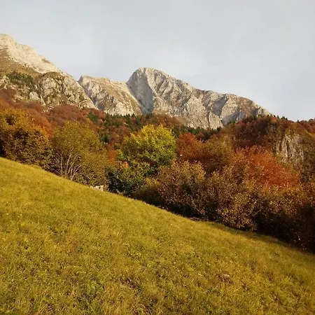 Appartement Rakuscek *
