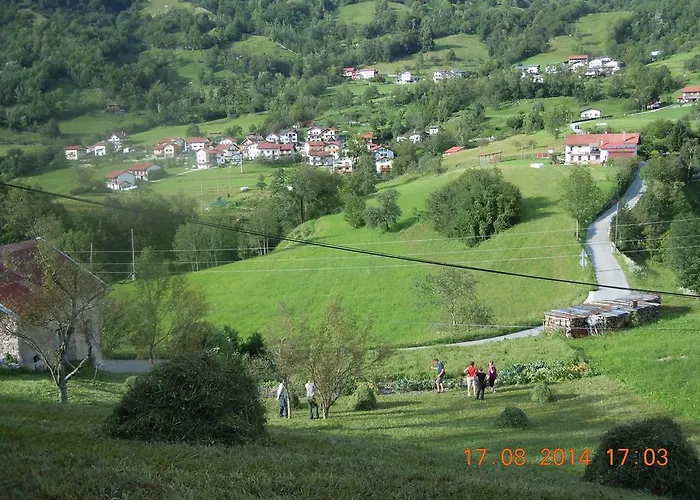 Rakuscek * كوباريد