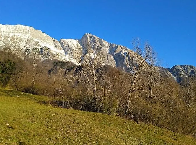 Rakuscek * 科巴里德