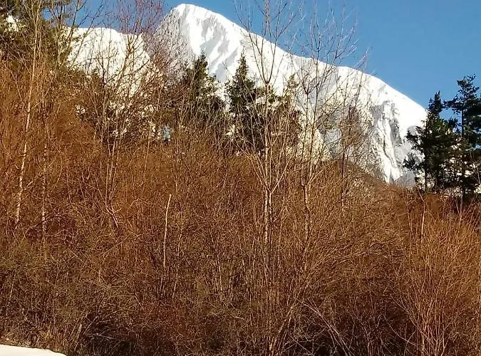 Rakuscek Apartment *