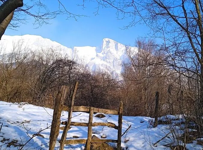 Rakuscek * كوباريد