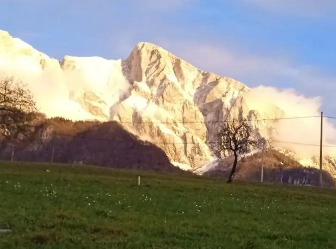 Apartment Rakuscek *