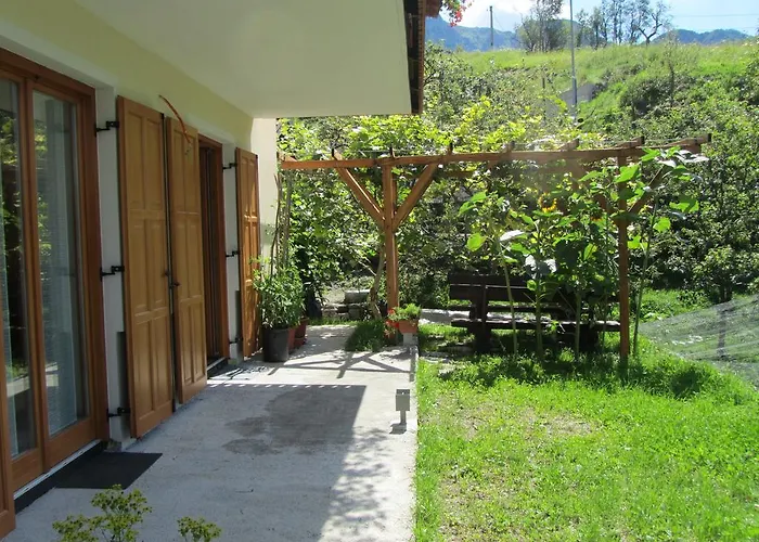 Rakuscek 科巴里德